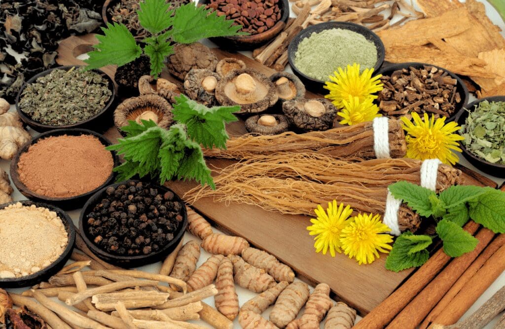 Various kinds of adaptogen herbs and spices. Health. Brisbane Livewell Clinic