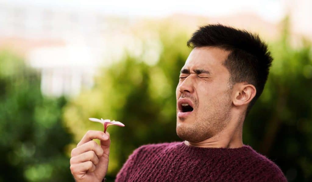 Man sneezing while holding a flower. Hayfever. Brisbane Livewell Clinic