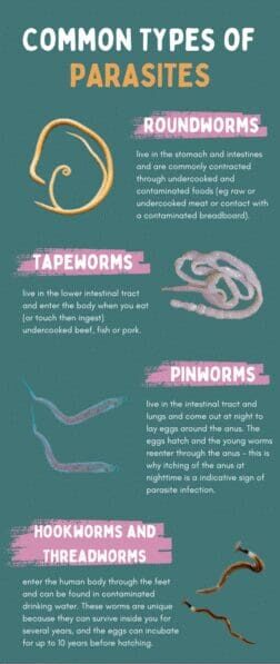Infographic on Common Types of Parasites and Parasite Cleanse. Brisbane Livewell Clinic