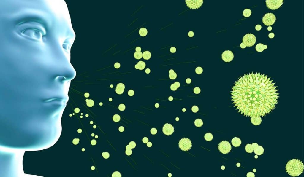 Hayfever and the Gastrointestinal-Immune System. Brisbane Livewell Clinic