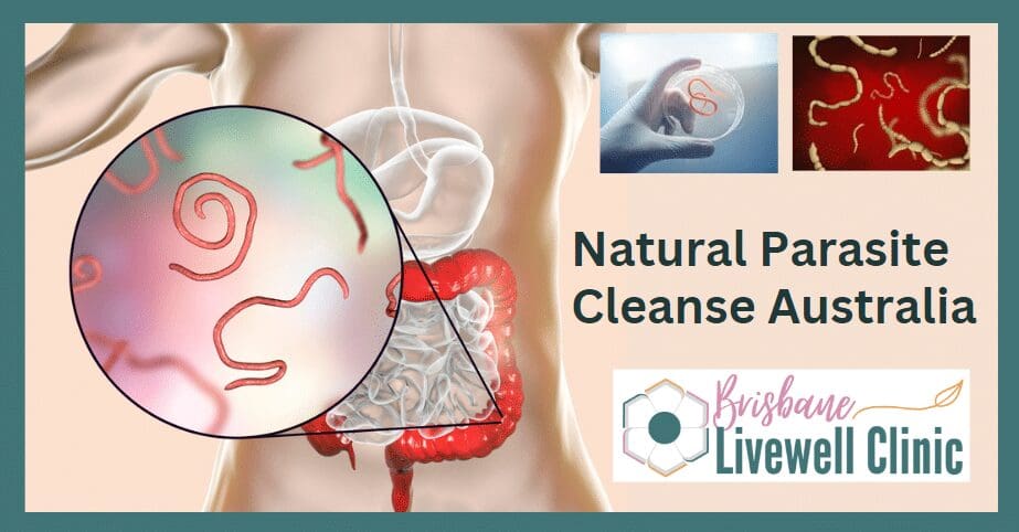 Natural Parasite Cleanse Australia. Brisbane Livewell Clinic