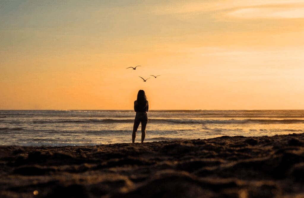 A silhouette of a person standing on the beach during sunset, facing the ocean. Naturopaths. Brisbane Livewell Clinic