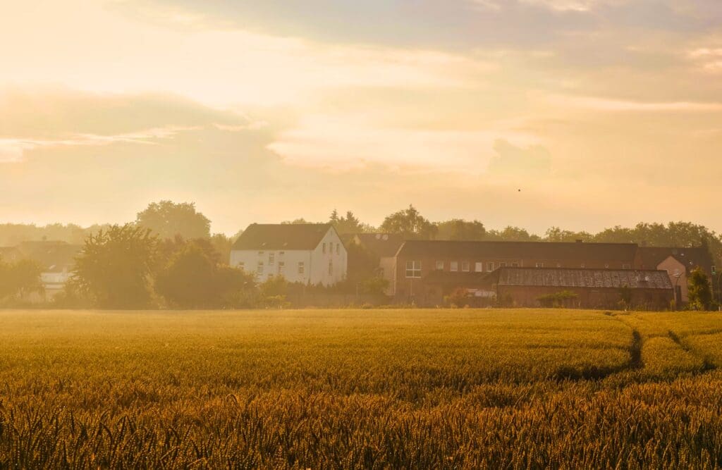 A countryside landscape featuring a golden wheat field. Food intolerance Testing. Brisbane Livewell Clinic