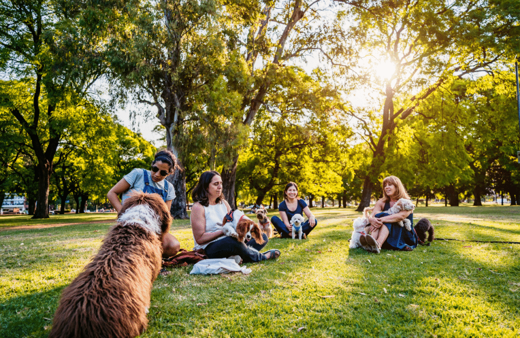 Group of people with dogs in park. Naturopath Noosa. Heavy Metal Detox Australia. Dream Work and Lucid Dreaming Suport. Brisbane Livewell Clinic