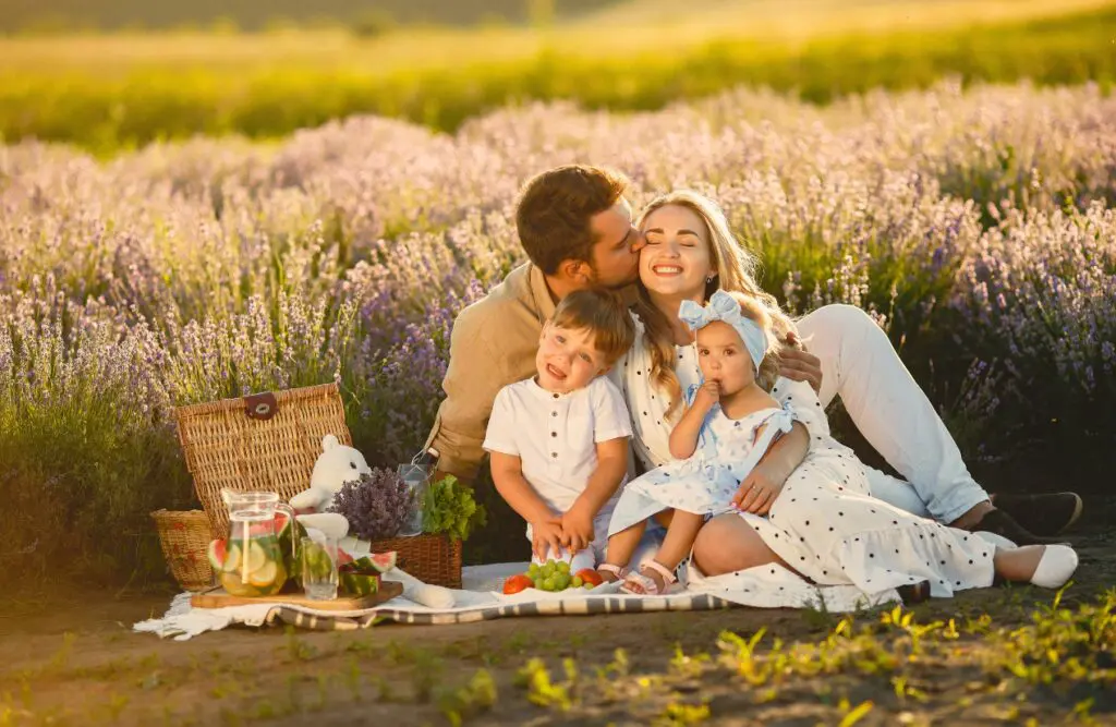 Family enjoying picnic together in a field. Counselling Wooloowin. Brisbane Livewell Clinic