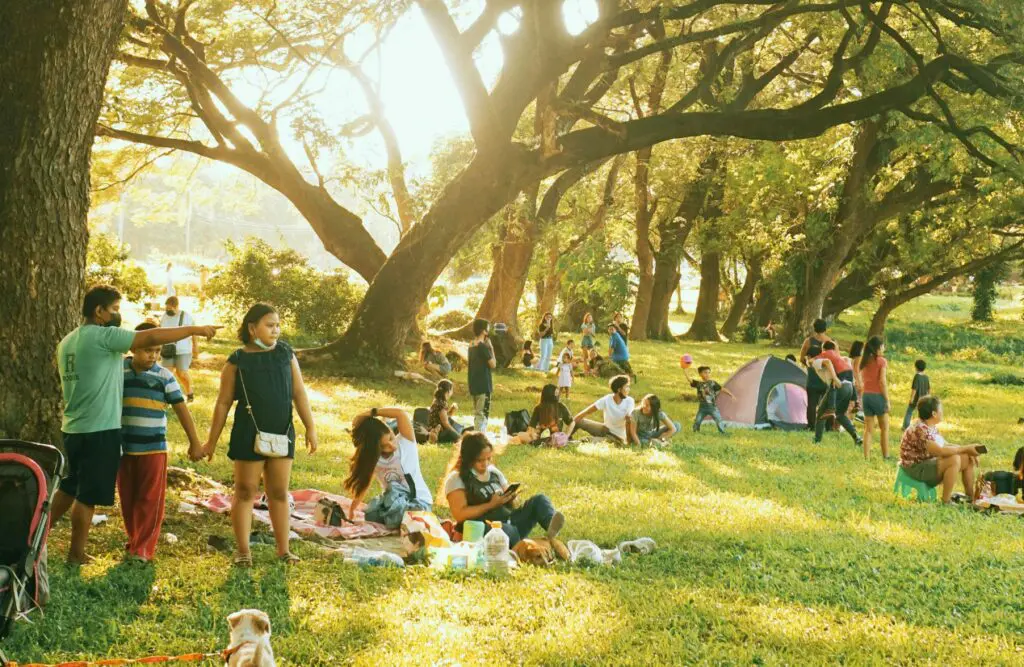 People enjoying sunny day at the park. Professional Bowen Therapy. Lose Weight Hypnotherapy. Naturopath Brisbane. Brisbane Livewell Clinic