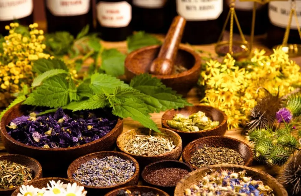 Variety of herbs and flowers. How to Detox. Brisbane Livewell Clinic