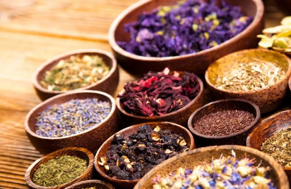 Various herbal medicines in a bowl. Naturopathy Brisbane. Recovery after Viral Infection. Brisbane Livewell Clinic