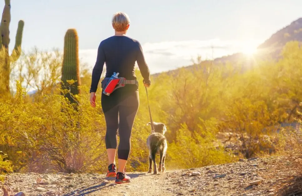 Woman walking with her dog during sunrise. Holistic Approach. Hypnosis for Weight Loss. Hip Flexor and Tight Hips Osteopath. Brisbane Livewell Clinic