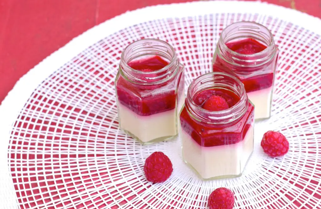 Raspberry Coconut Panna Cotta. Leaky Gut Syndrome. Brisbane Livewell Clinic
