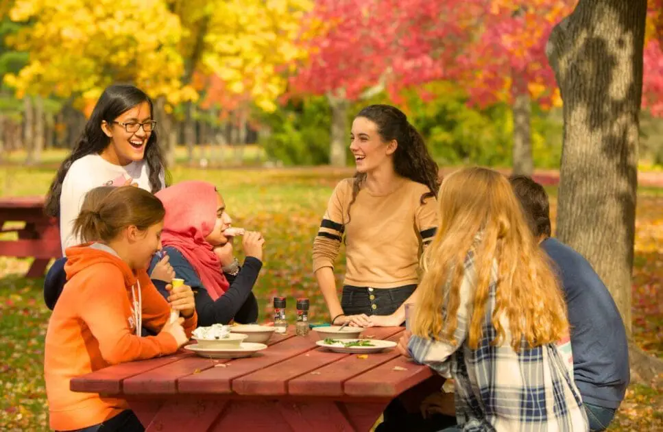 Group of friends sitting around a picnic table. Gut Health Test Australia. Brisbane Livewell Clinic