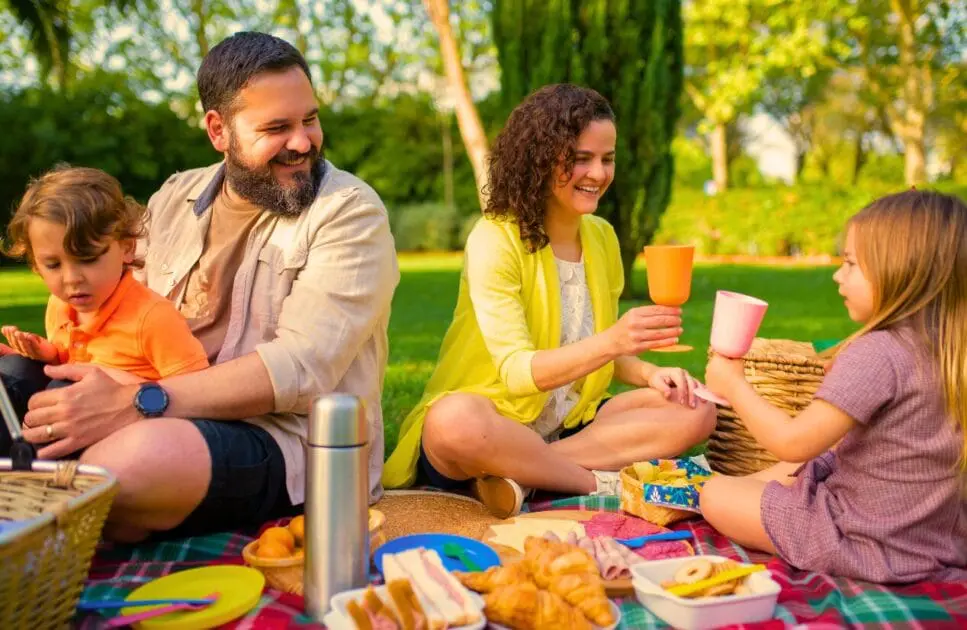 Family sits on a picnic blanket in the park, enjoying their meal together. Hypnotherapy near Geebung. Brisbane Livewell Clinic. Relationship Counseling Near Me