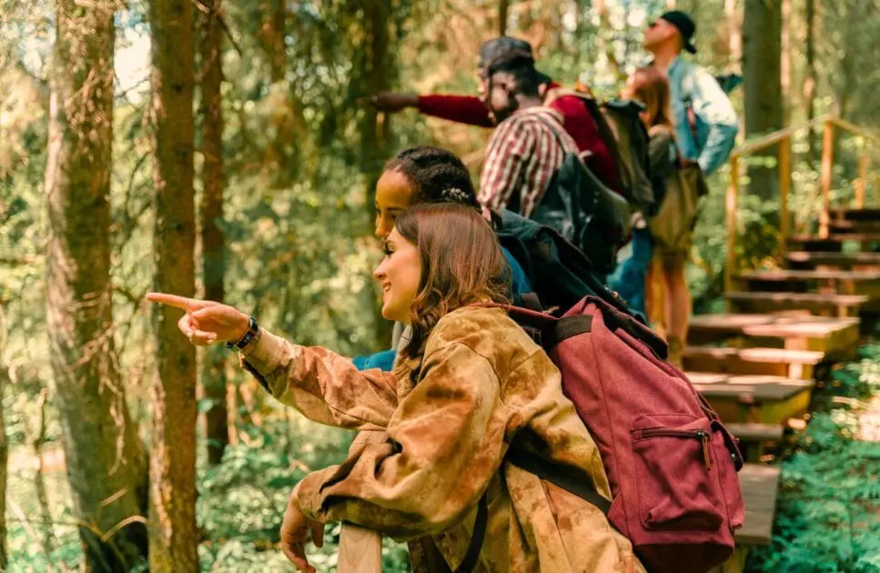 A diverse group of individuals hiking together through a green forest, surrounded by tall trees. Hynotherapy near Stafford Heights. Brisbane Livewell Clinic