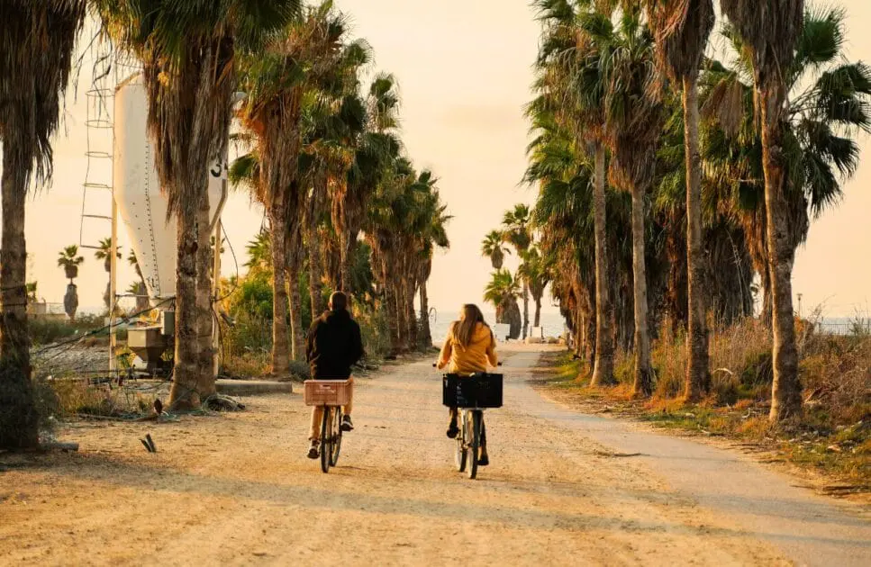 Two people riding bicycles on the dirt road between palm trees. Hypnotherapy near Northgate. Brisbane Livewell Clinic