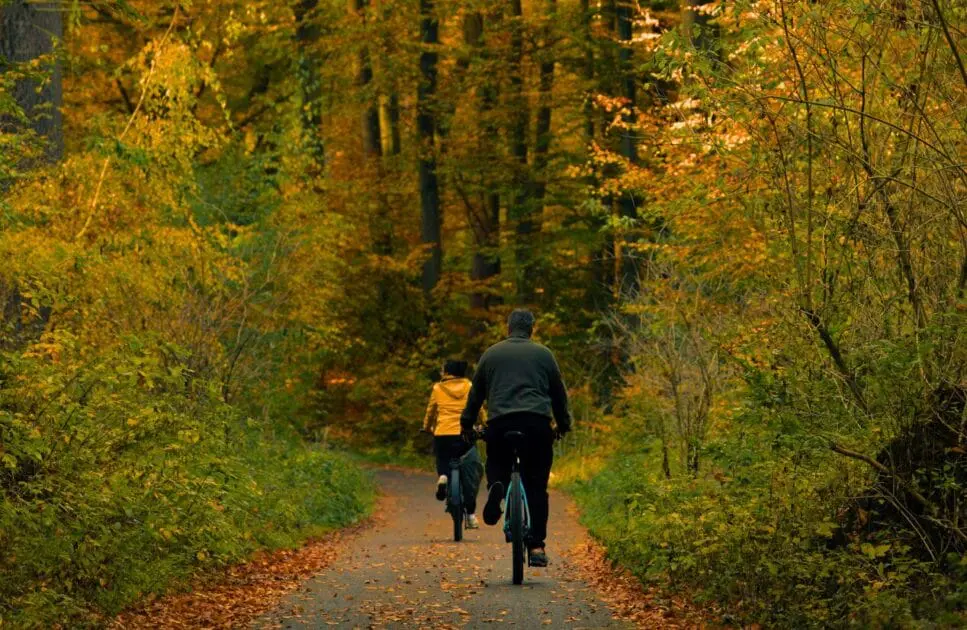 Two people riding a bicycle on a forest path. Hypnotherapy near Clayfield. Brisbane Livewell Clinic